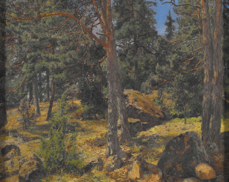 Uma paisagem de um banco de abetos, óleo de Gottfrid Samuel Nickolaus Kallsteniüs