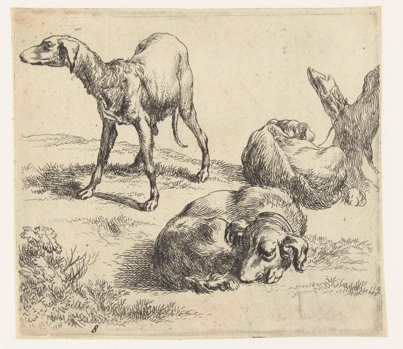 Tres perros en luz cálida, grabado de Nicolaes Pietersz Berchem