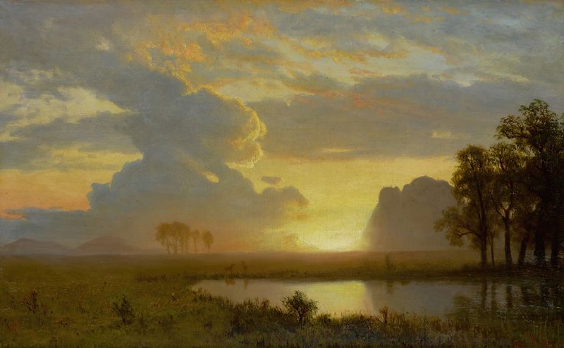 Estes Park, Colorado de Albert Bierstadt, óleo sobre lienzo que representa un paisaje montañoso con un río