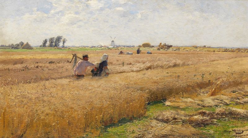 Erntefeld am Niederrhein de Hugo Mühlig, pintura a óleo que retrata campos de trigo dourado.