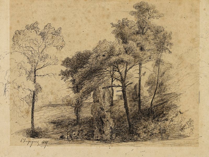 Etude d’arbres de Henri-Joseph Harpignies, óleo sobre lienzo que representa árboles y luz filtrada.
