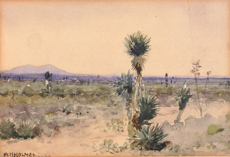 Yuccaland–Chihuahua, Mexico by William Henry Holmes, realism, landscape