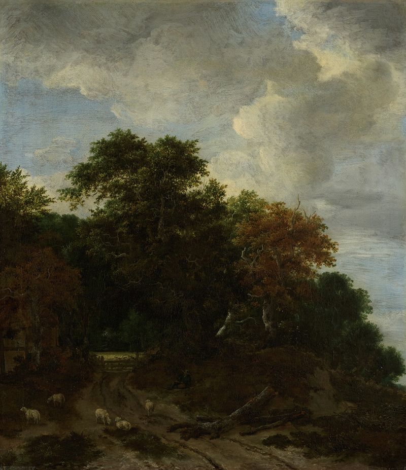 Paisagem da floresta de Jacob van Ruisdael, óleo sobre tela mostrando árvores e luz filtrando através da folhagem.