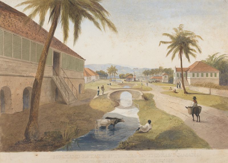 Acuarela de James Hakewill que representa Holland Estate, Jamaica con vegetación exuberante y luz solar.