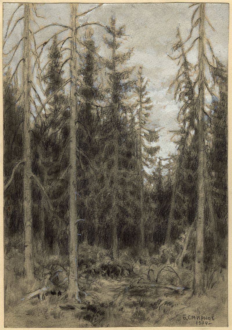 Landscape of spruce taiga by Boris Vasilievich Smirnov, oil painting