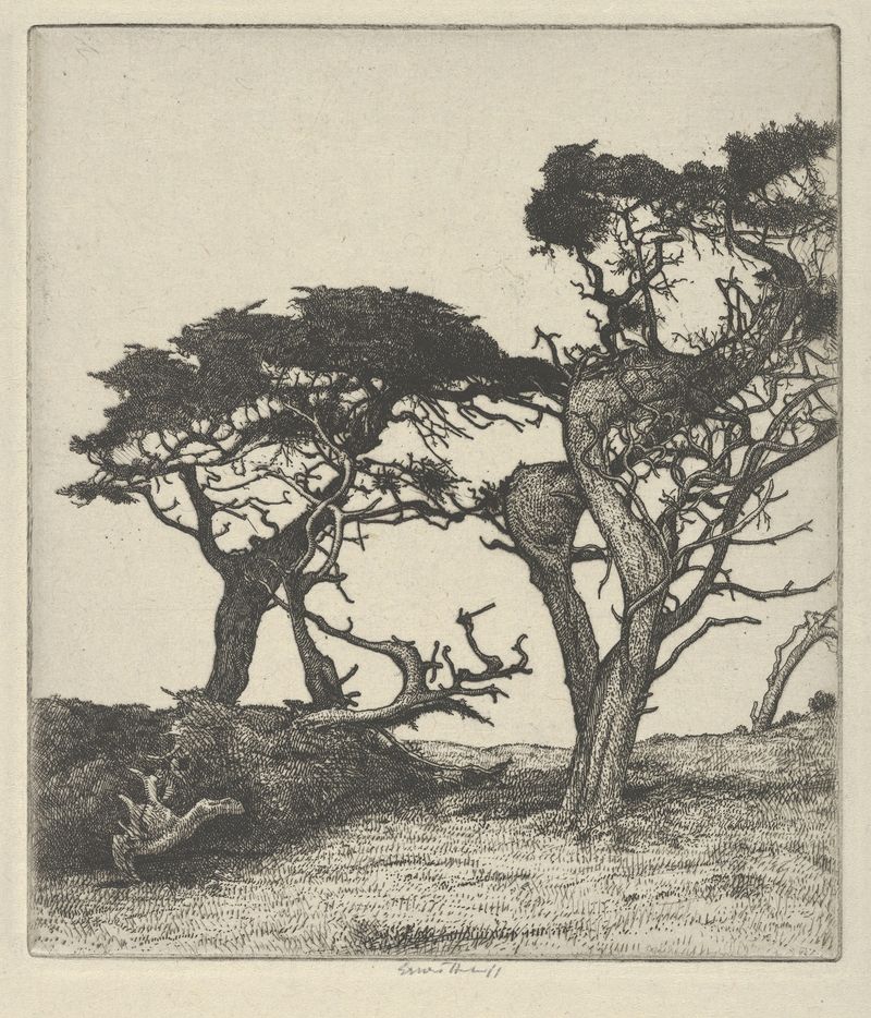 Fragmentos del avestruz de Ernest Haskell, acuarela sobre papel, que representa piezas fragmentadas de avestruz.