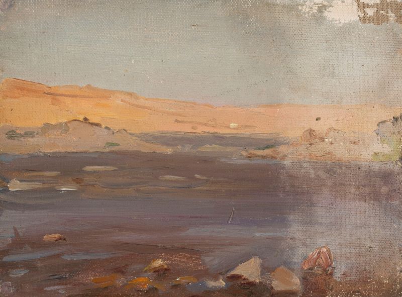 Nile. From the journey to Egypt, óleo sobre lienzo de Jan Ciągliński que muestra un río al atardecer.