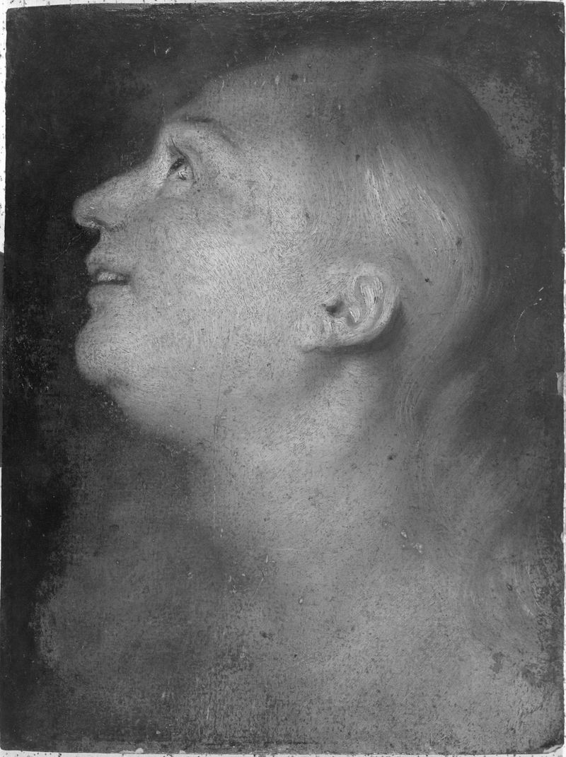 Retrato de una mujer con rasgos delicados, óleo sobre panel de un artista no identificado