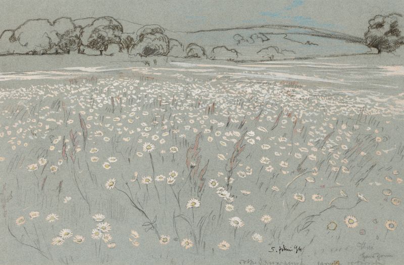 Meadow with Daisies de Hans Thoma, óleo sobre lienzo que representa un prado verde lleno de margaritas.