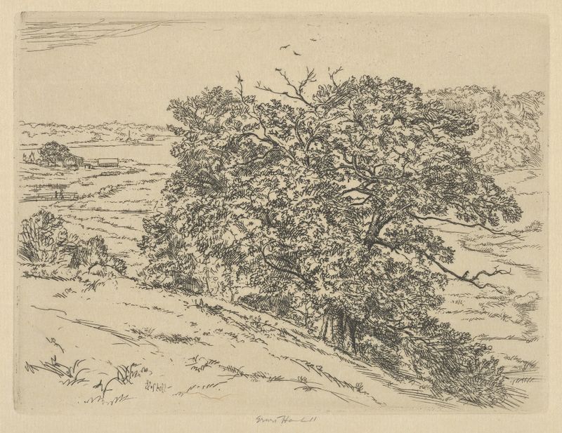 Dromore Oaks de Ernest Haskell, aquarela sobre papel que retrata carvalhos e luz.