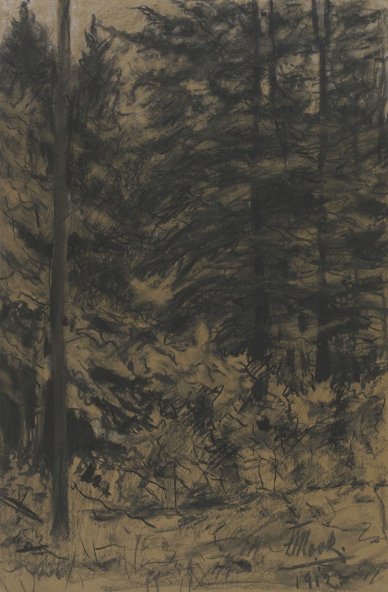 Fir trees in oil on canvas by Friedrich Mook