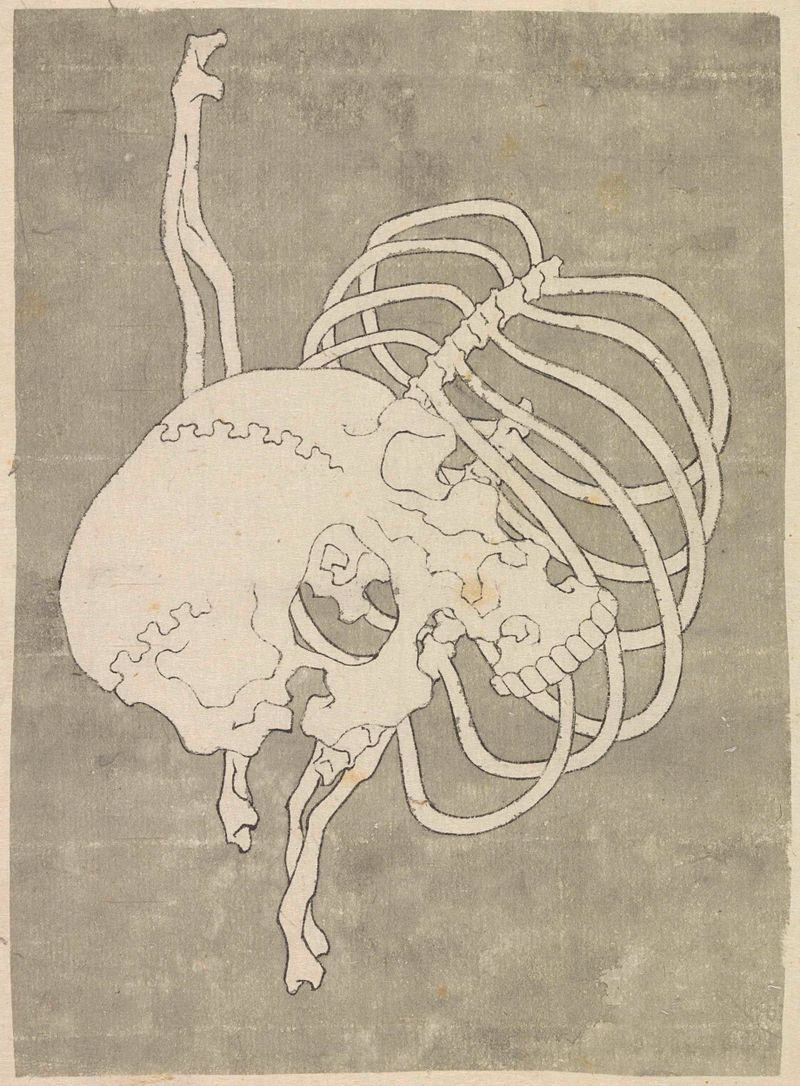 Naturaleza muerta con un cráneo y una caja torácica de Katsushika Hokusai, Ukiyo-e