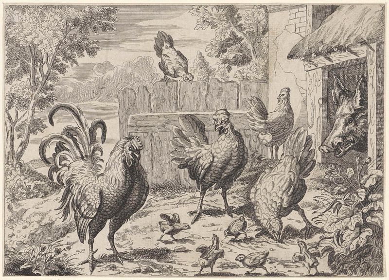 Gravura Hanen, kippen, kuikens en een wild zwijn de Unknown Artist com galo e um javali