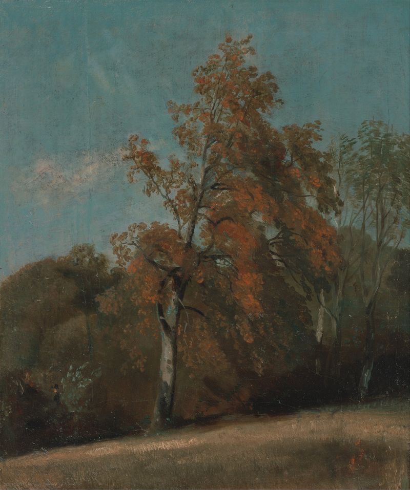 Estudio de un fresno de John Constable, pintura al óleo que muestra la luz del sol filtrándose a través de las ramas.