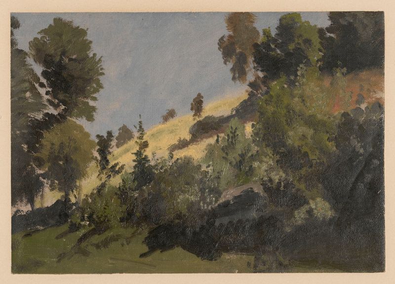 Mountain slope near Książ, óleo sobre tela de Adolf Dressler