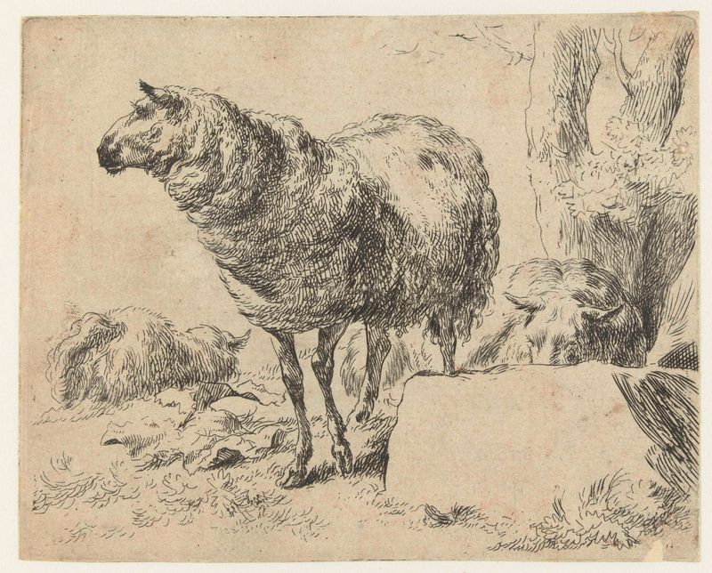 Paisagem com três ovelhas, gravura de Nicolaes Pietersz Berchem