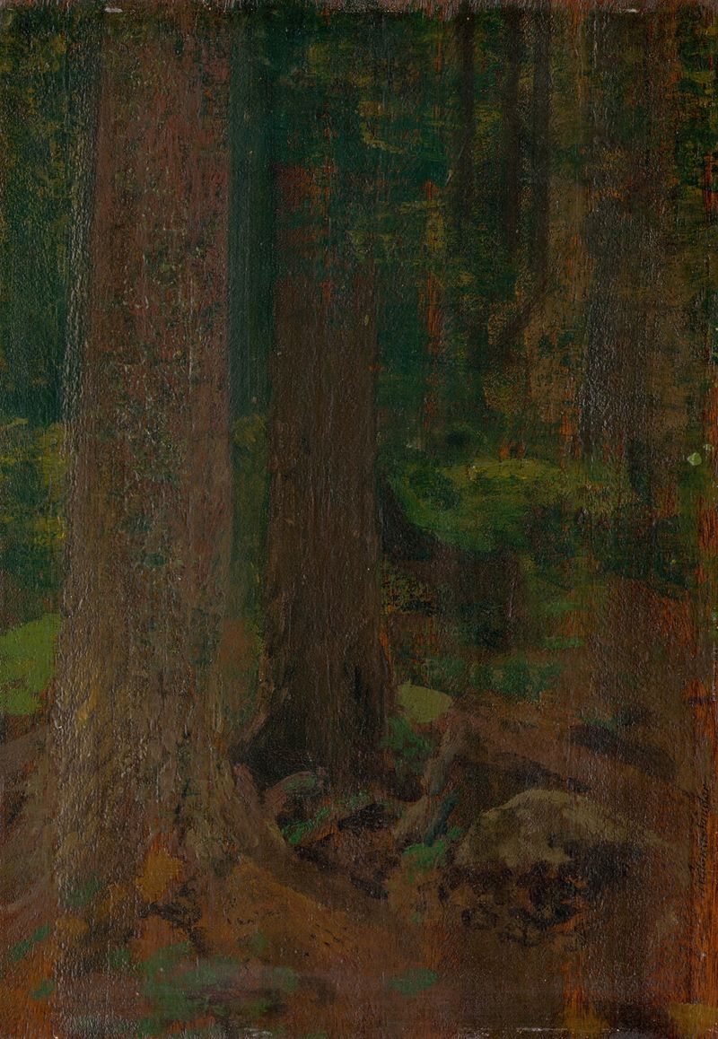Estudio del Bosque de Ferdinand Katona, pintura al óleo que muestra un denso bosque con árboles altos.