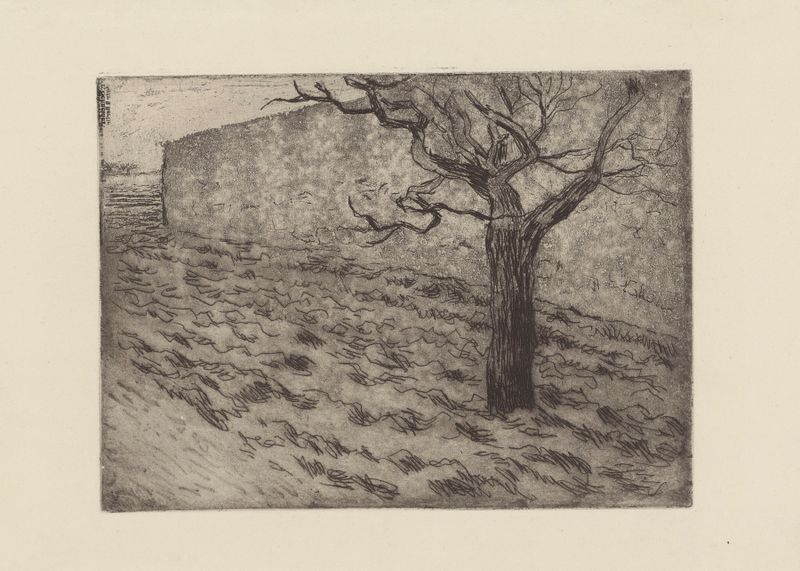 Paisaje con vegetación exuberante y luz moteada, pintura al óleo de Camille Pissarro