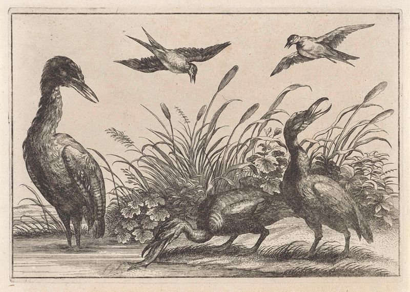 Grabado de Unknown Artist que representa aves con plumas intrincadas en un paisaje
