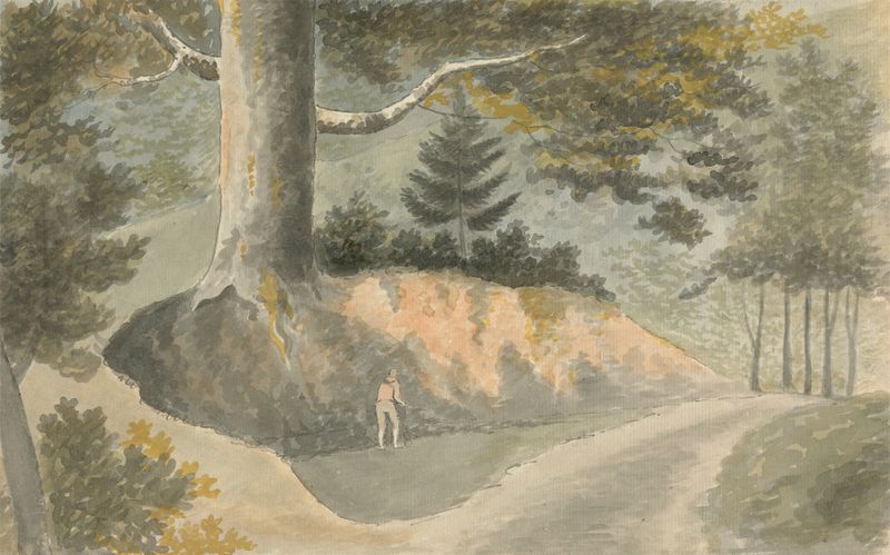 Road in the Forest, oil painting by Edward Francis Burney, depicting a tranquil forest path.