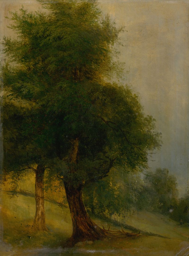 Trees on a slope, oil on canvas by Jozef Božetech Klemens
