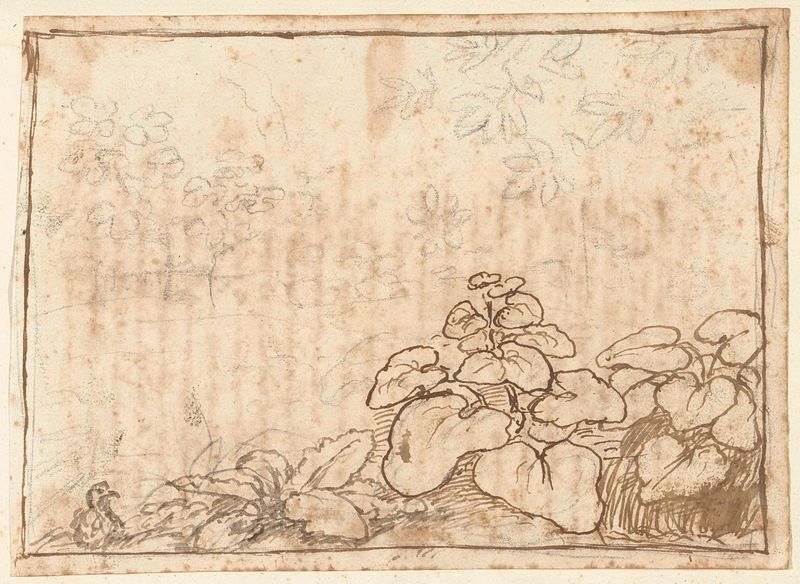 Botanical study of foliage by Claude Lorrain, oil painting