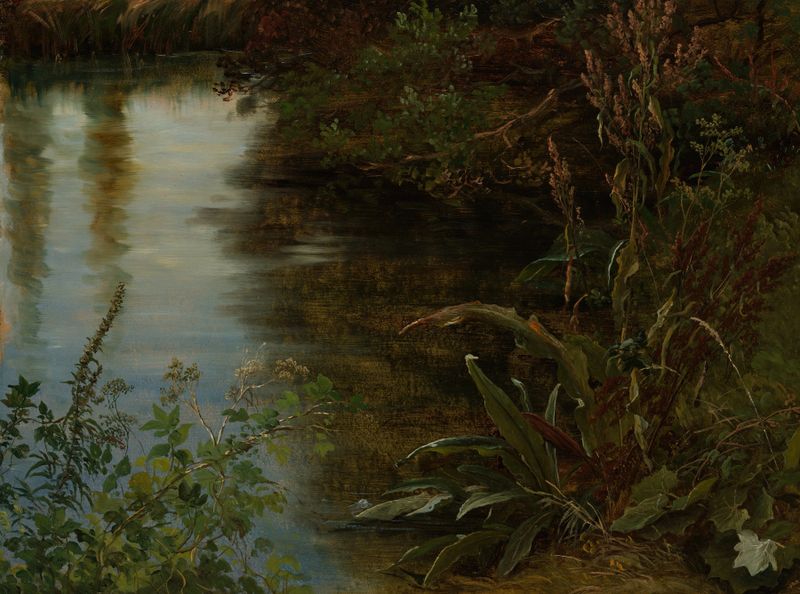 Study of Water and Plants de Thomas Fearnley, plantas emergiendo del agua, pintura al óleo