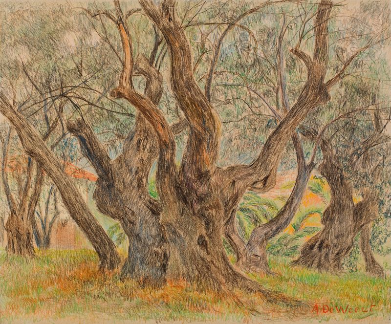 Gnarled olive tree with intricate texture by Anna De Weert, Dutch Golden Age