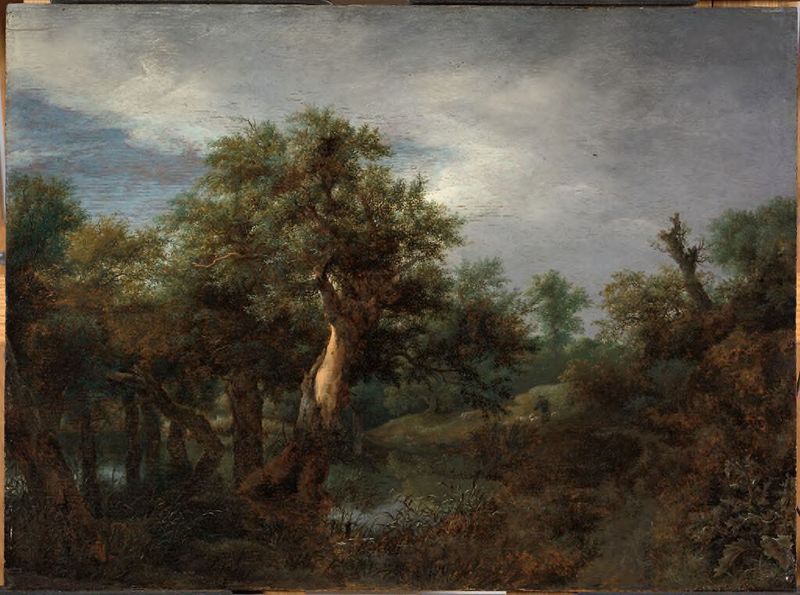 Paisaje boscoso con un viejo roble, óleo sobre lienzo de Jacob van Ruisdael