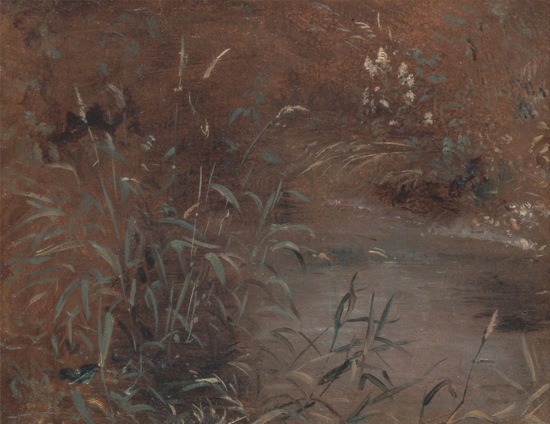 Rushes by a pool, óleo de John Constable, com vegetação exuberante e luz do sol.