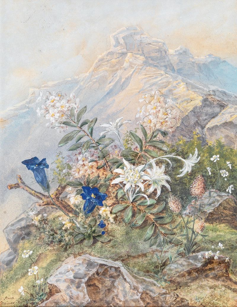 Escena botánica con flores azules y blancas de Anna Stainer-Knittel