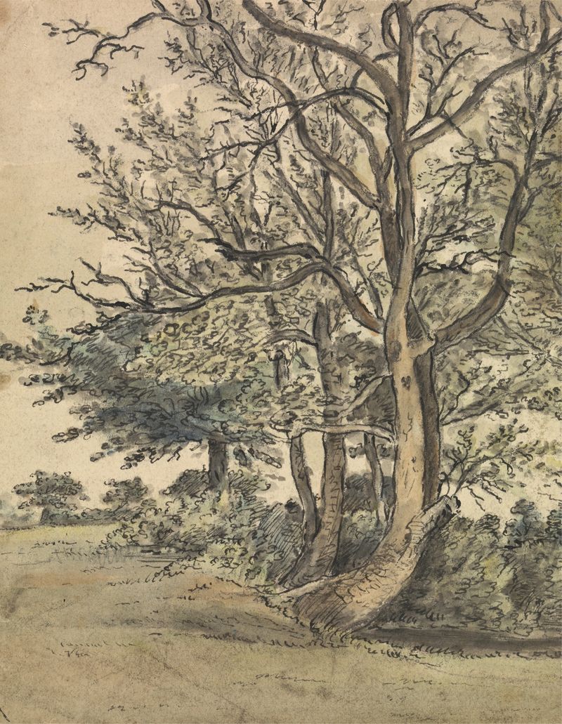 Landscape of Regent’s Park by Patrick Nasmyth, oil on canvas, featuring lush greenery and sunlight.