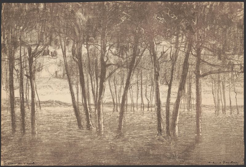 Landscape featuring forest foliage and interplay of light and shadow by Richard Baseleer