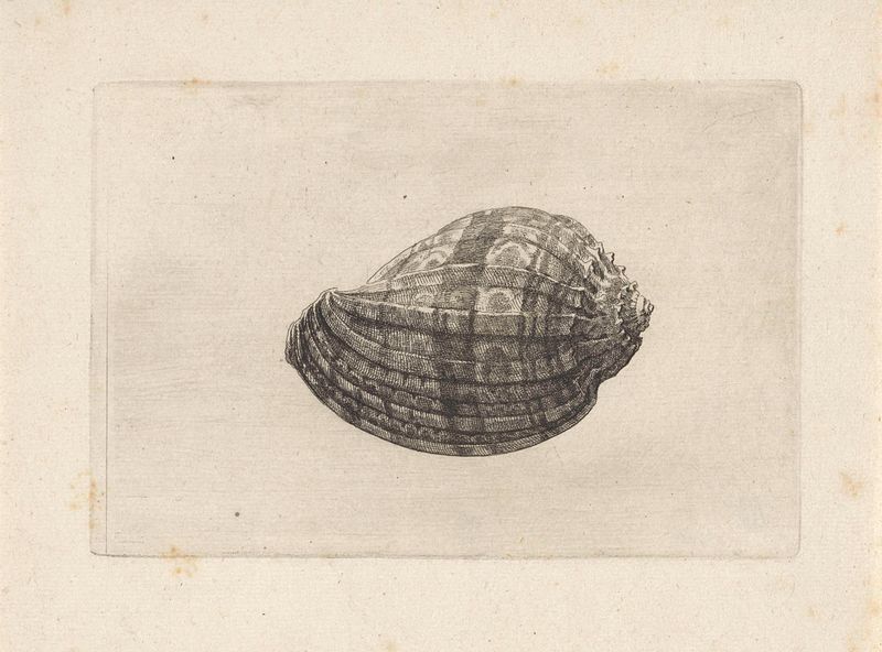 grabado de harpa mayor de Wenceslaus Hollar que muestra detalles intrincados y luz.