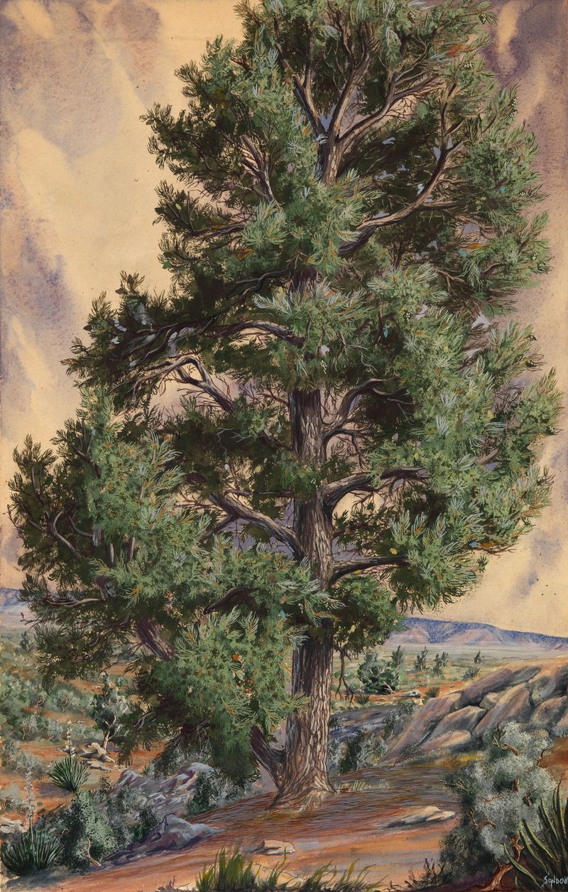 Paisagem de pinheiro de Sandow, pintura a óleo com pinceladas verdes texturizadas