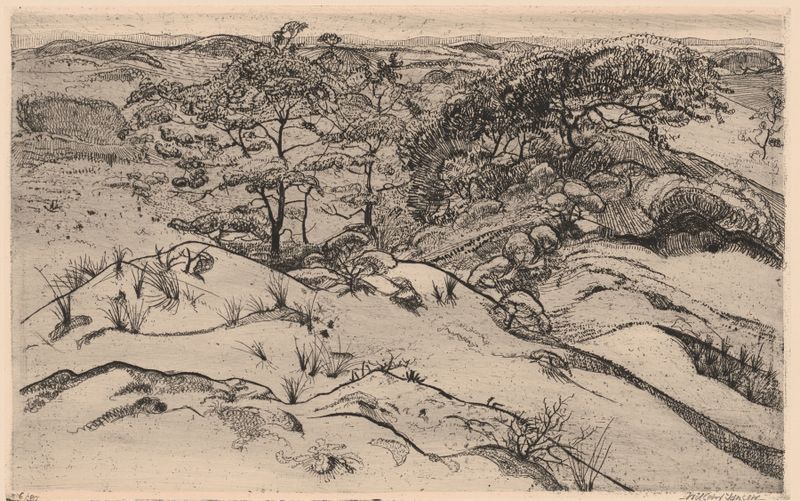 Dune Landscape by Willem Jansen, oil painting depicting sweeping dunes and golden hues.