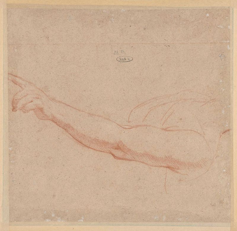 Desenho de um braço, papel, Unknown Artist