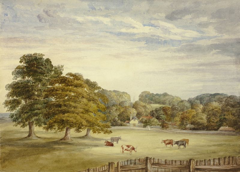 Six Cows Grazing before Country House de Elizabeth Murray, realismo