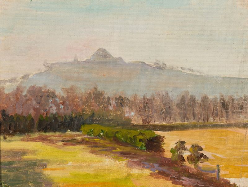 Landscape with a view of the Kościuszko Mound, oil on canvas by Michał Rouba