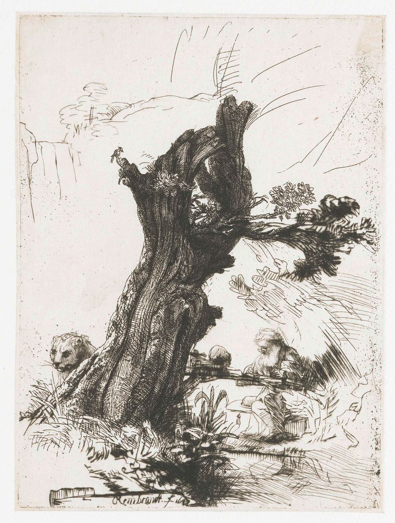 Grabado de Rembrandt van Rijn de San Jerónimo junto a un sauce y una cascada