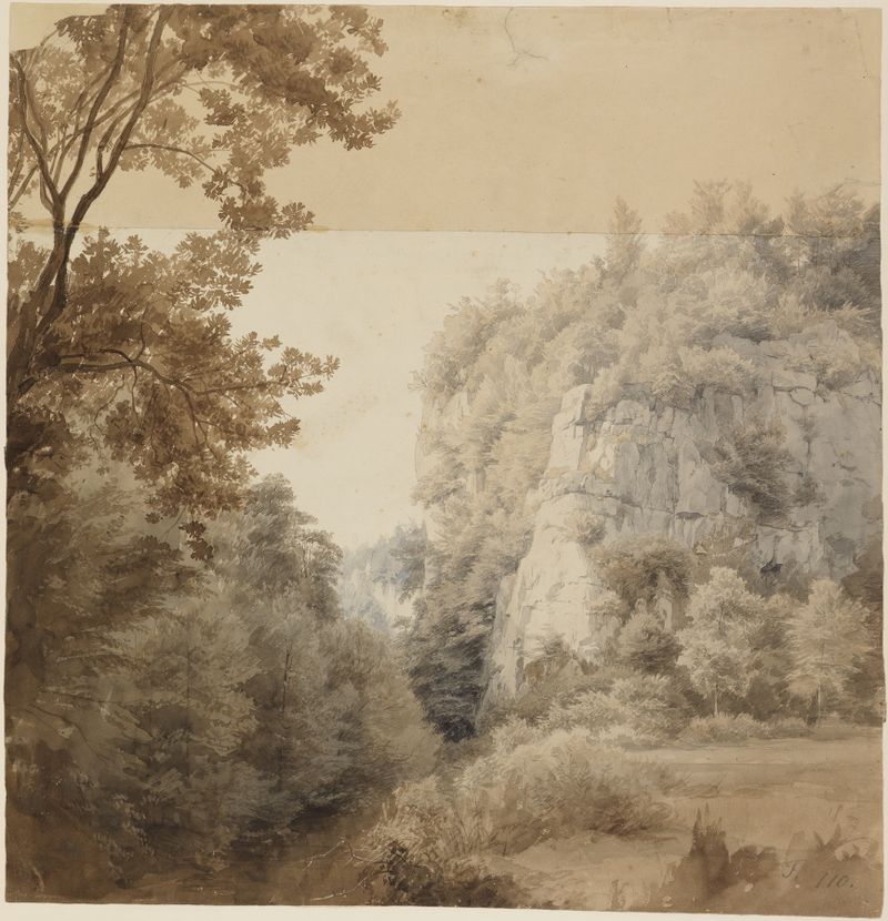 Paisagem com afloramento rochoso e floresta de Johann Wilhelm Schirmer