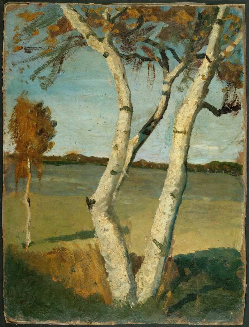 Birch tree in a landscape, oil on canvas by Paula Modersohn-Becker