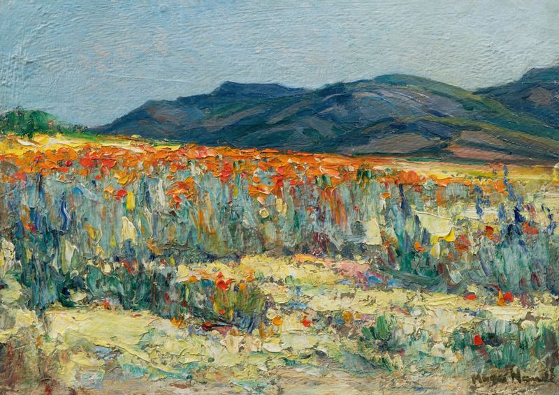 Springtime, Namaqualand de Pieter Hugo Naude, paisaje impresionista con flores vibrantes.