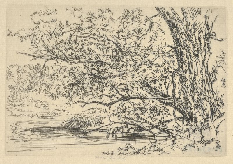 Escena de sauce y agua en acuarela de Ernest Haskell