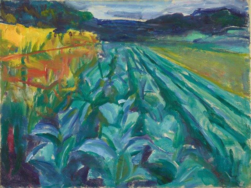 Cabbage Field by Edvard Munch, oil painting depicting a lush cabbage field