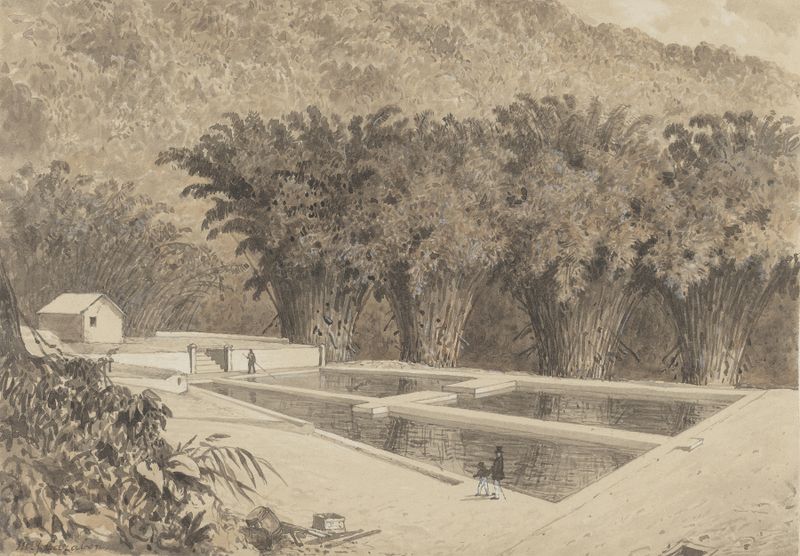 The Reservoir at Maraval by Michel Jean Cazabon, oil painting depicting a tranquil landscape with water and foliage.