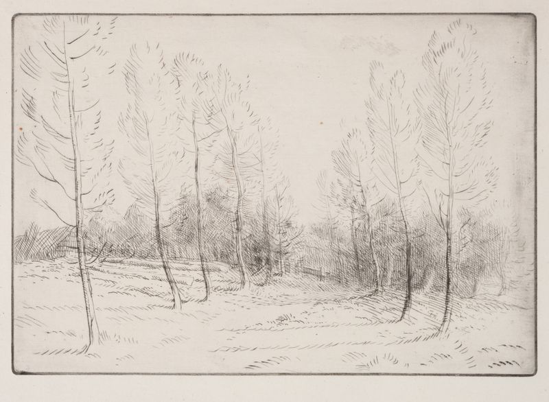 Avenue of Poplars by Alphonse Legros, oil on canvas featuring poplar trees and golden light.