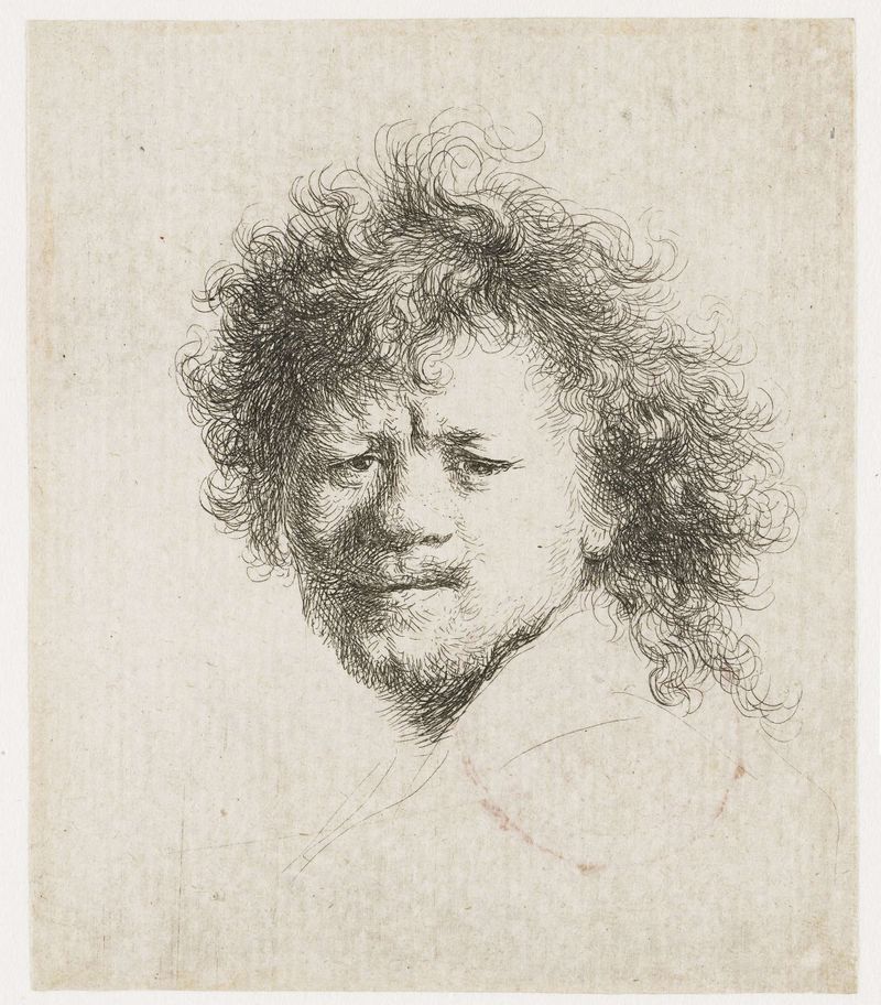 Autorretrato com Cabelo Longo e Espesso de Rembrandt van Rijn, gravura mostrando várias emoções