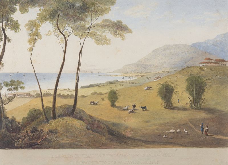 Watercolour by James Hakewill depicting Lyssons Estate, St. Thomas in the East, Jamaica