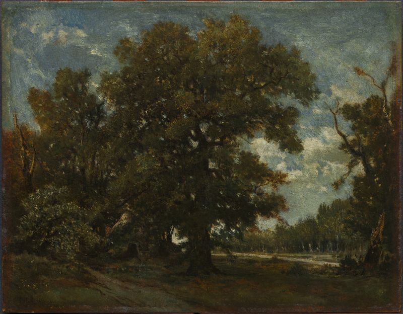Oil on canvas by Théodore Rousseau depicting an oak tree in a tranquil landscape